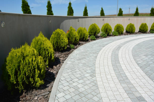 Best Affordable Driveway Pavers  in Rutherford College, NC